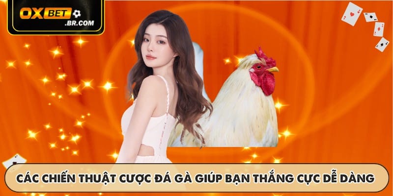 Đá Gà Campuchia OXBET - Luật Chơi Và Tỷ Lệ Cược Hấp Dẫn - sopefa.games
