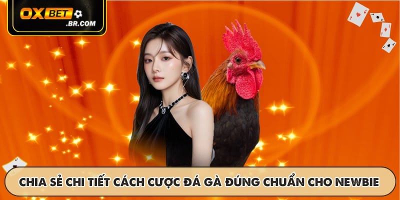 Đá Gà Campuchia OXBET - Luật Chơi Và Tỷ Lệ Cược Hấp Dẫn - sopefa.games