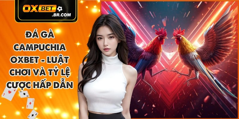 Bài Cào OXBET - Trò Chơi Nhanh Luật Dễ Học Phù Hợp Người Mới - sopefa.games