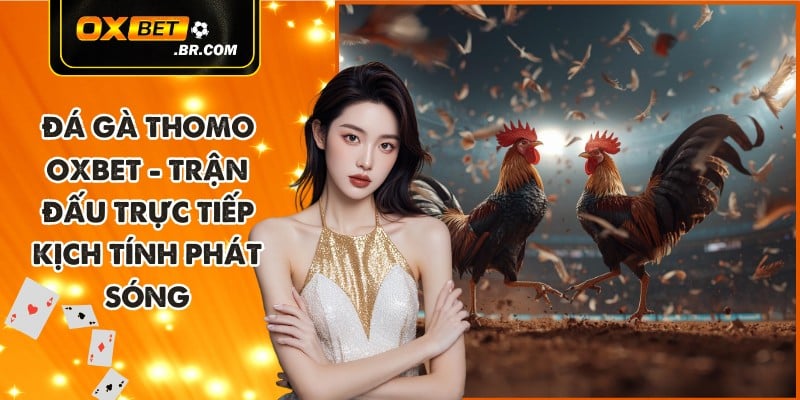 Bài Cào OXBET - Trò Chơi Nhanh Luật Dễ Học Phù Hợp Người Mới - sopefa.games