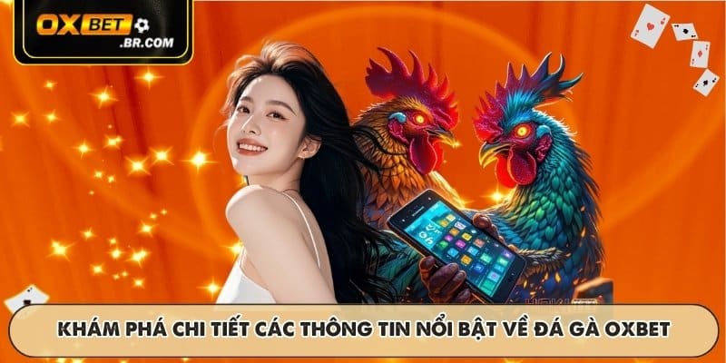 Đá Gà OXBET - Trận Đấu Trực Tiếp Kịch Tính Với Tỷ Lệ Hấp Dẫn - sopefa.games