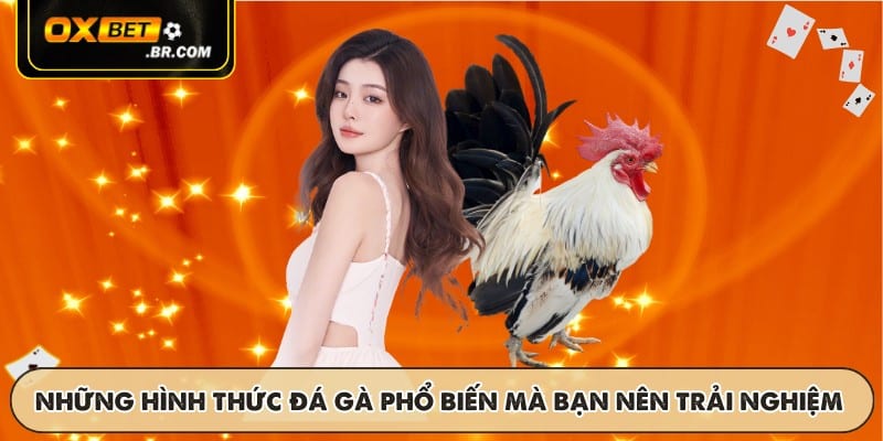 Đá Gà Thomo OXBET - Trận Đấu Trực Tiếp Kịch Tính Phát Sóng - sopefa.games