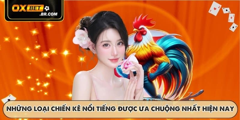 Đá Gà OXBET - Trận Đấu Trực Tiếp Kịch Tính Với Tỷ Lệ Hấp Dẫn - sopefa.games