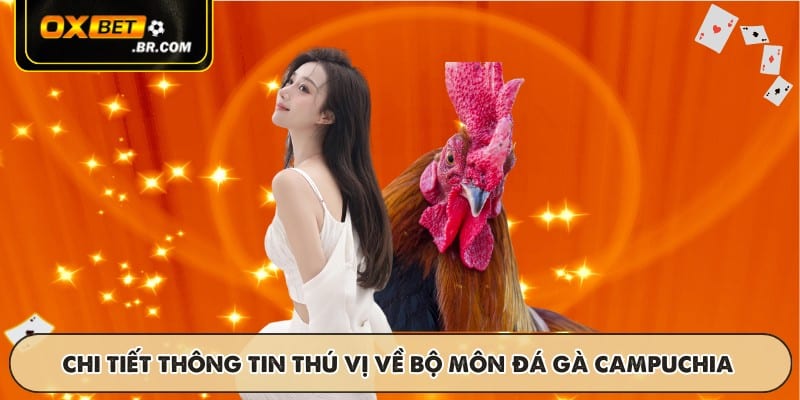 Đá Gà Campuchia OXBET - Luật Chơi Và Tỷ Lệ Cược Hấp Dẫn - sopefa.games