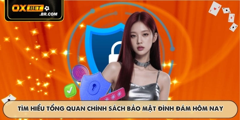 Chính Sách Bảo Mật OXBET Cam Kết Bảo Vệ Dữ Liệu Người Dùng - sopefa.games