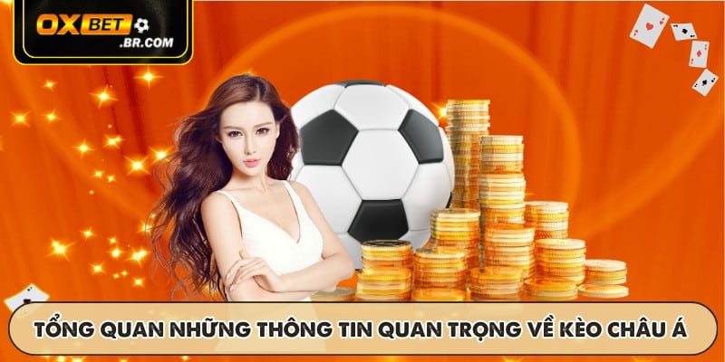 Kèo Châu Á OXBET - Cập Nhật Tỷ Lệ Và Chiến Thuật Hiệu Quả - sopefa.games