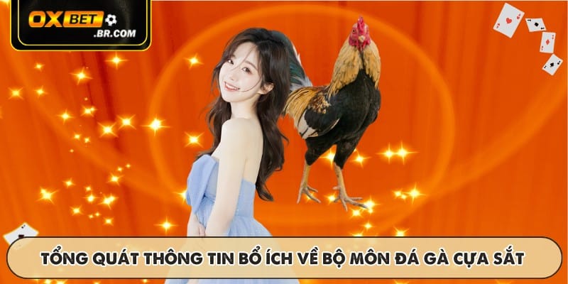 Đá Gà Cựa Sắt OXBET - Trận Đấu Với Tỷ Lệ Cược Cao Và Thú Vị - sopefa.games