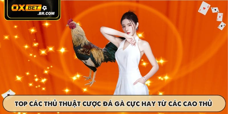Đá Gà Cựa Sắt OXBET - Trận Đấu Với Tỷ Lệ Cược Cao Và Thú Vị - sopefa.games