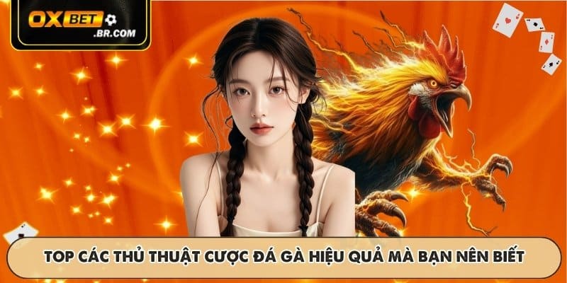 Đá Gà OXBET - Trận Đấu Trực Tiếp Kịch Tính Với Tỷ Lệ Hấp Dẫn - sopefa.games