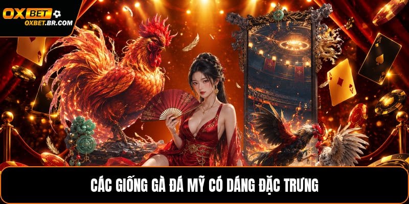 Các Giống Gà Đá Mỹ - Đặc Điểm Và Những Dòng Phổ Biến - sopefa.games