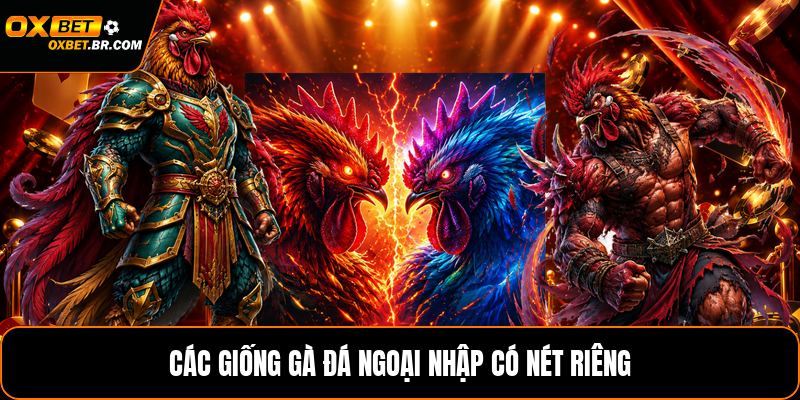 Các Giống Gà Đá Ngoại Nhập - Nhận Biết Từng Dòng Gà - sopefa.games