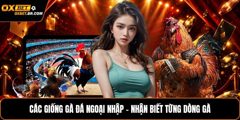 Kèo Chấp OXBET - Giải Thích Loại Kèo Và Cách Áp Dụng Thực Tế - sopefa.games