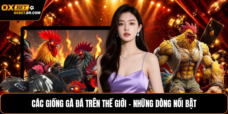 Kèo Chấp OXBET - Giải Thích Loại Kèo Và Cách Áp Dụng Thực Tế - sopefa.games
