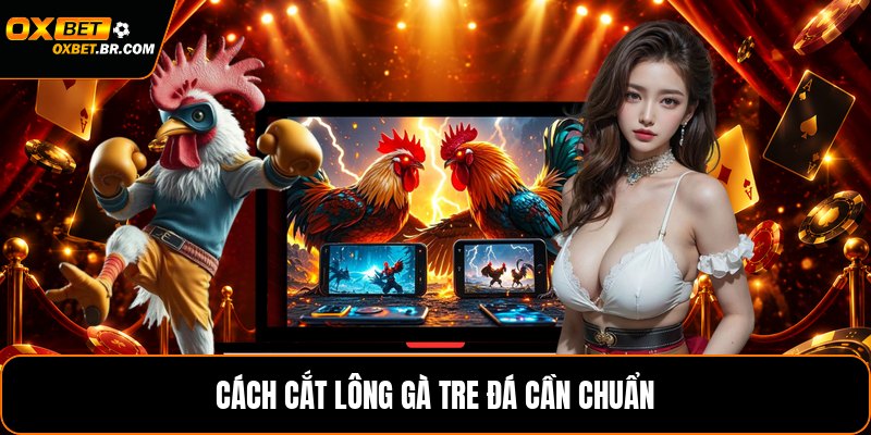 Cách Cắt Lông Gà Tre Đá - Kỹ Thuật Cắt Tỉa Đúng Cách - sopefa.games