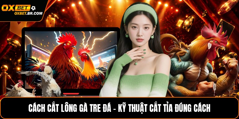 Kèo Phạt Góc – Góc Nhìn Chiến Thuật Dành Cho Người Theo Dõi Bóng Đá Tại Oxbet - sopefa.games
