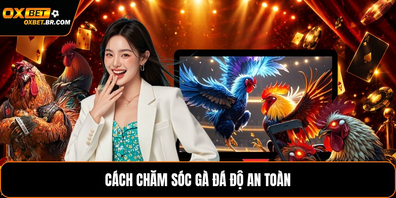 Cách Chăm Sóc Gà Đá Độ - Hướng Dẫn Nuôi Gà An Toàn - sopefa.games