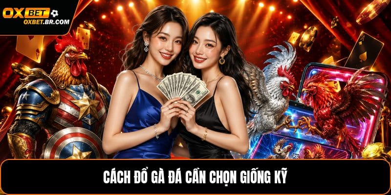 Cách Đổ Gà Đá - Quy Trình Chọn Giống Và Ghép Cặp Chuẩn - sopefa.games
