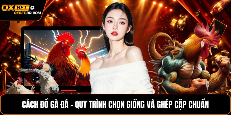 Mẹo Chơi Mậu Binh – Kinh Nghiệm Sắp Xếp Bài Hiệu Quả Tại Oxbet - sopefa.games