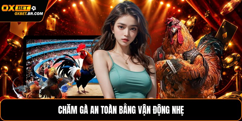 Cách Chăm Sóc Gà Đá Độ - Hướng Dẫn Nuôi Gà An Toàn - sopefa.games