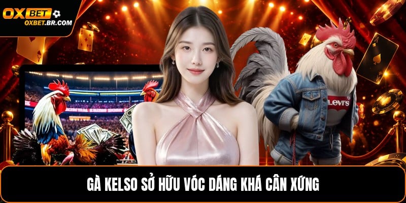 Các Giống Gà Đá Mỹ - Đặc Điểm Và Những Dòng Phổ Biến - sopefa.games