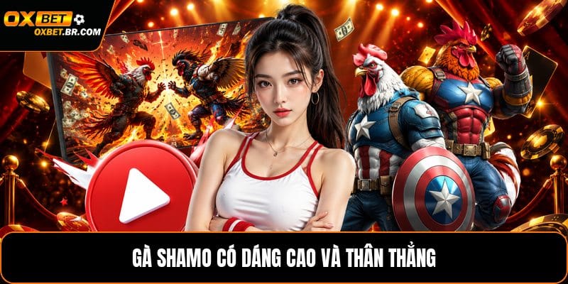 Các Giống Gà Đá Ngoại Nhập - Nhận Biết Từng Dòng Gà - sopefa.games