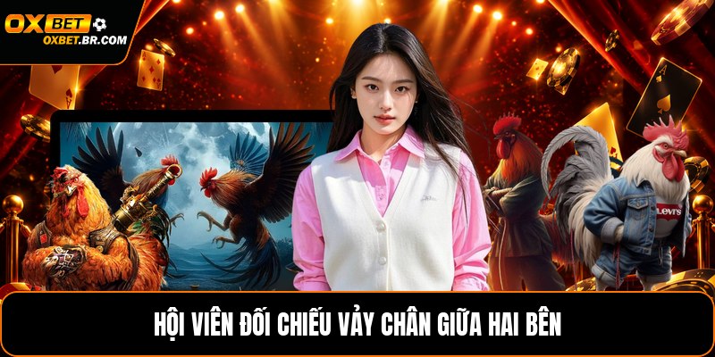 Cách Coi Chân Gà Đá - Nhận Biết Dáng Chân Gà Chuẩn - sopefa.games