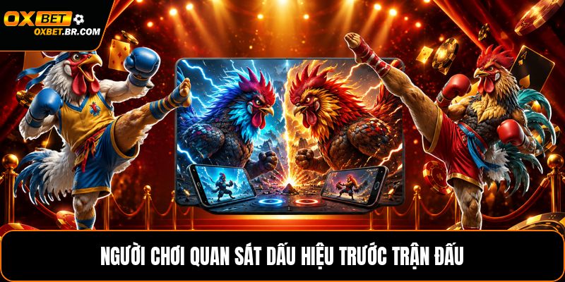 Luật Đá Gà Cựa Sắt - Quy Tắc Và Cách Xác Định Kết Quả - sopefa.games