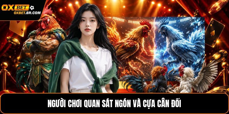 Cách Coi Chân Gà Đá - Nhận Biết Dáng Chân Gà Chuẩn - sopefa.games