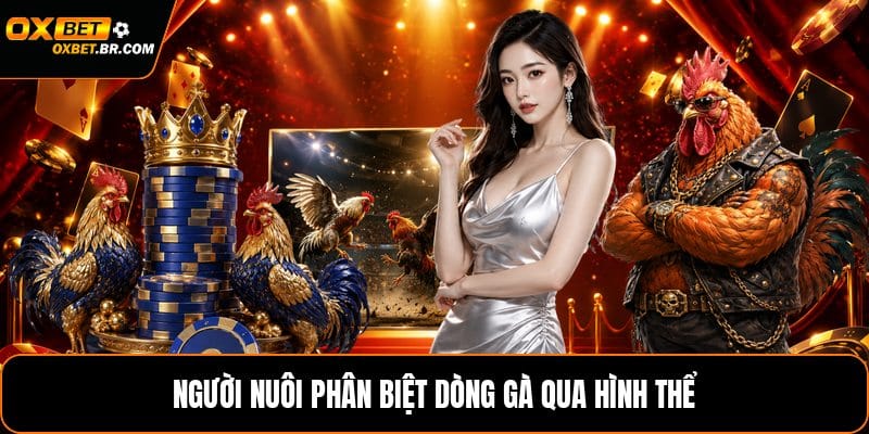 Các Giống Gà Đá Ngoại Nhập - Nhận Biết Từng Dòng Gà - sopefa.games
