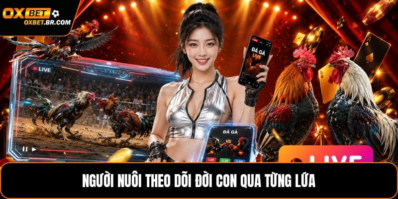 Cách Đổ Gà Đá - Quy Trình Chọn Giống Và Ghép Cặp Chuẩn - sopefa.games