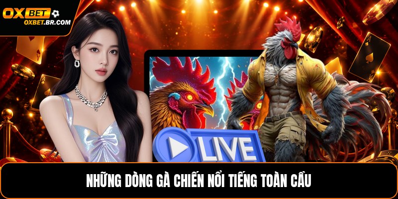 Các Giống Gà Đá Trên Thế Giới - Những Dòng Nổi Bật - sopefa.games